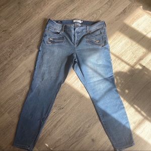 Torrid Jeans